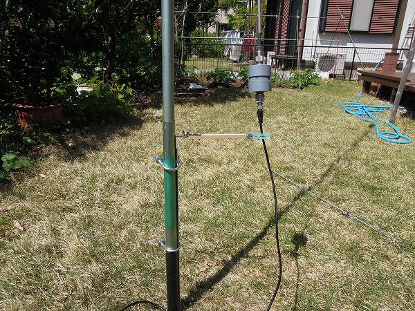 ���d���Œ�