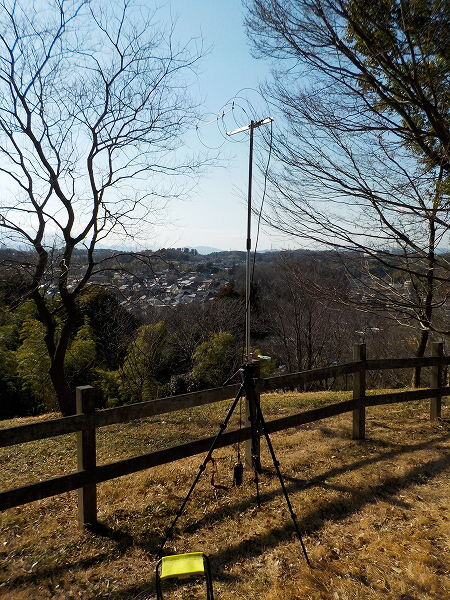 ���[�v����