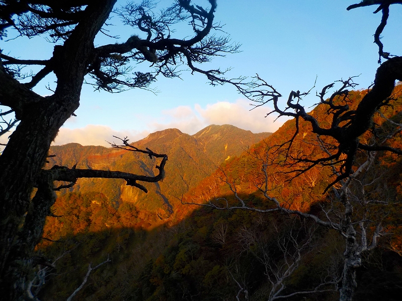 �R�����]