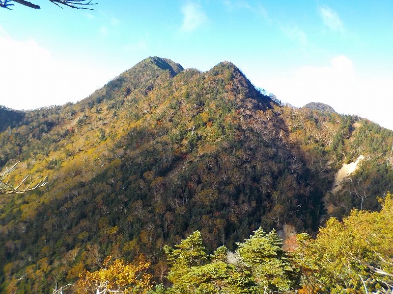 �R������