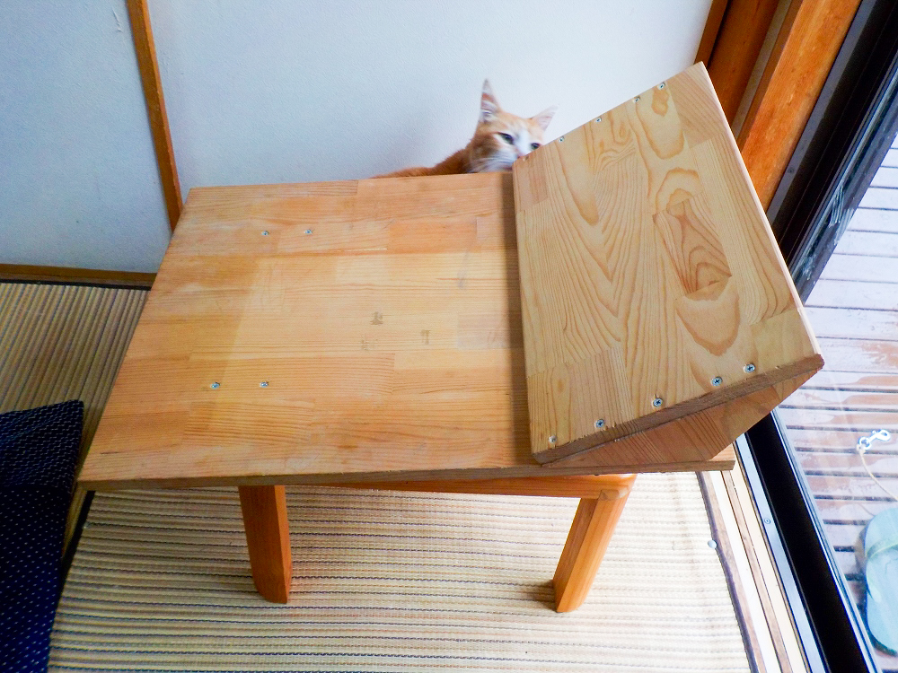 �X�^�[�g����