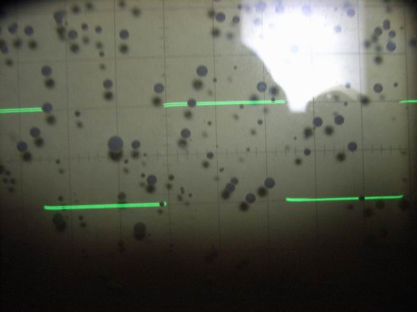 100Hz�����g�`