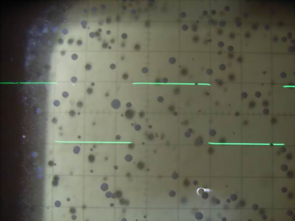 100Hz���`�g����