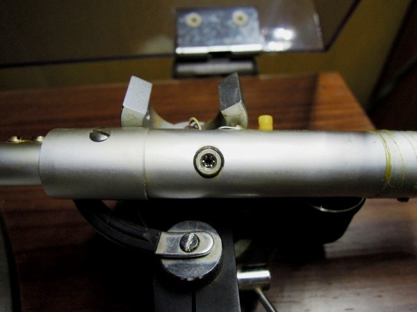 ����̃x�A�����O